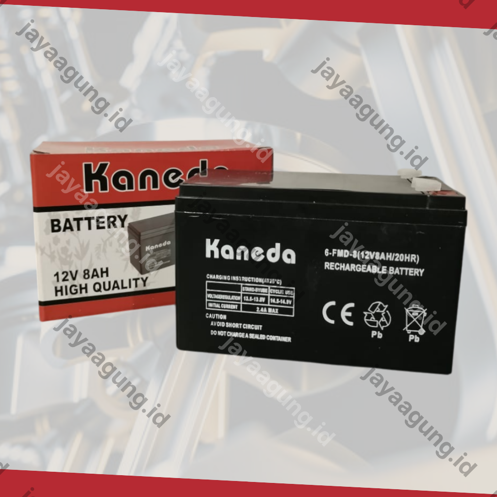 Gambar ACCU SPRAYER KANEDA 8A ke-2