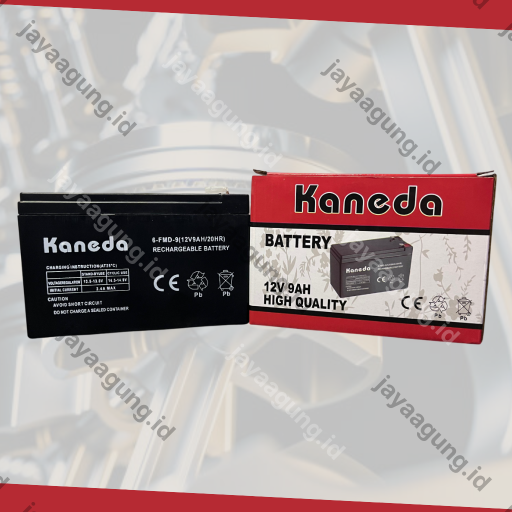 Gambar ACCU SPRAYER KANEDA 9A ke-4