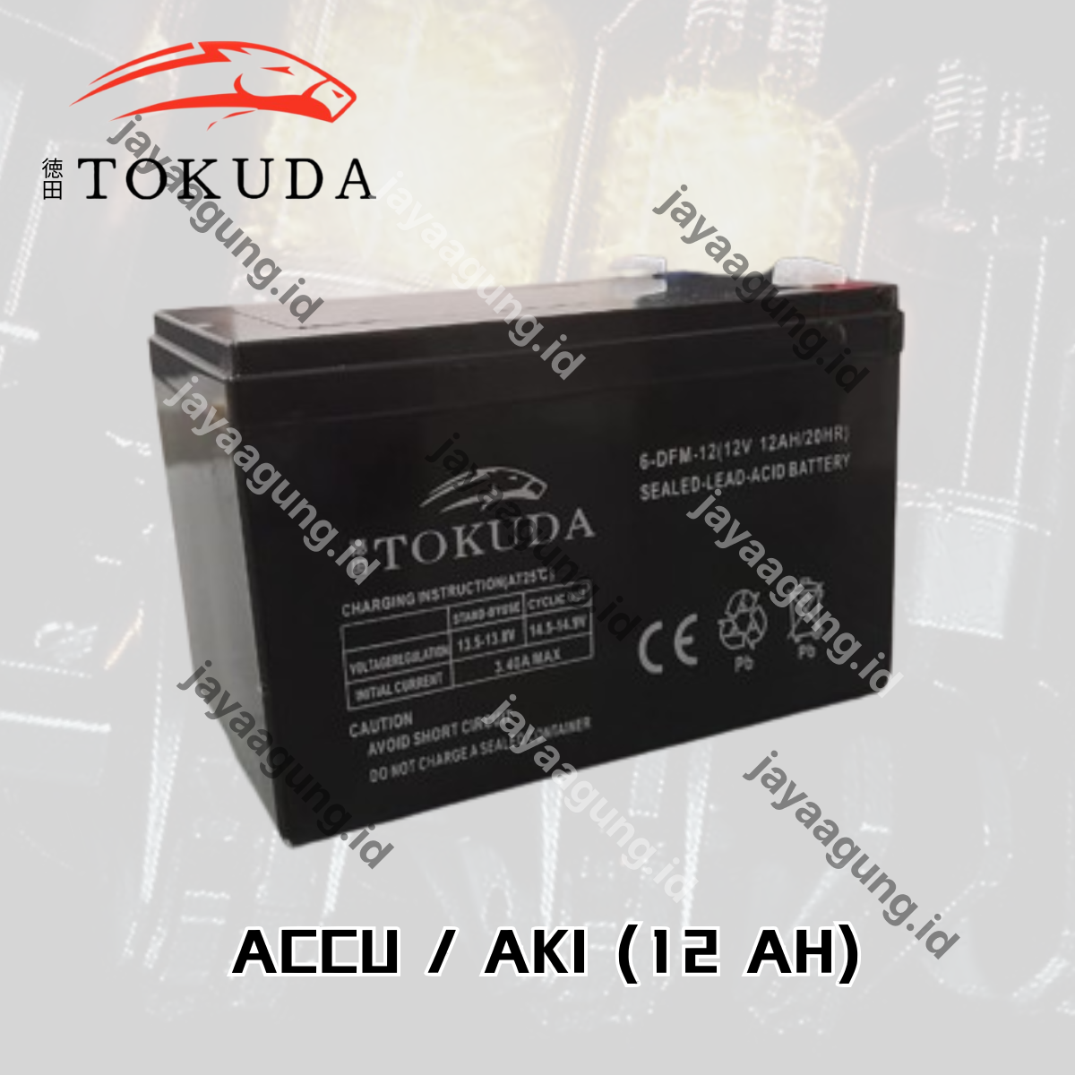 Gambar ACCU SPRAYER TOKUDA 12A ke-3