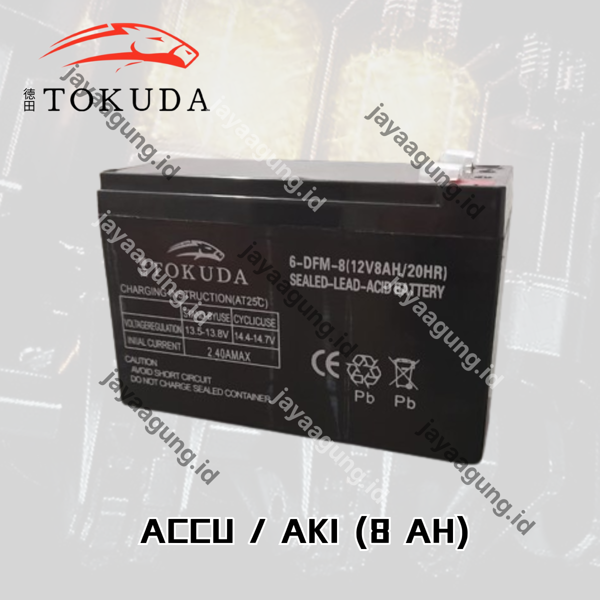 Gambar ACCU SPRAYER TOKUDA 8A ke-3