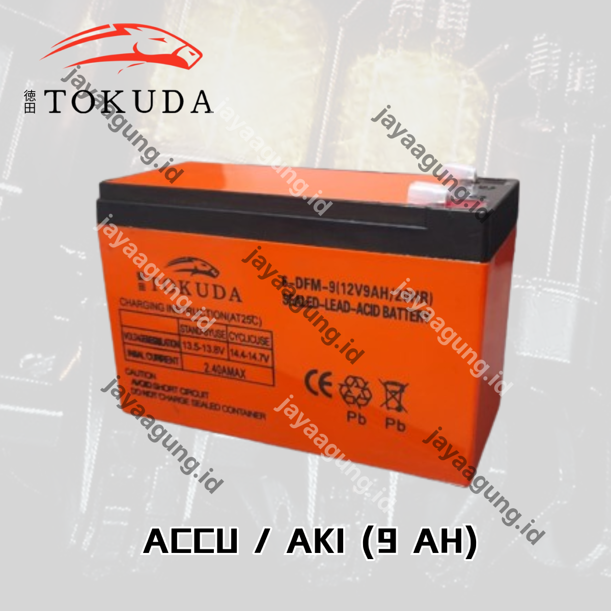 Gambar ACCU SPRAYER TOKUDA 9A 2.5KG ke-2