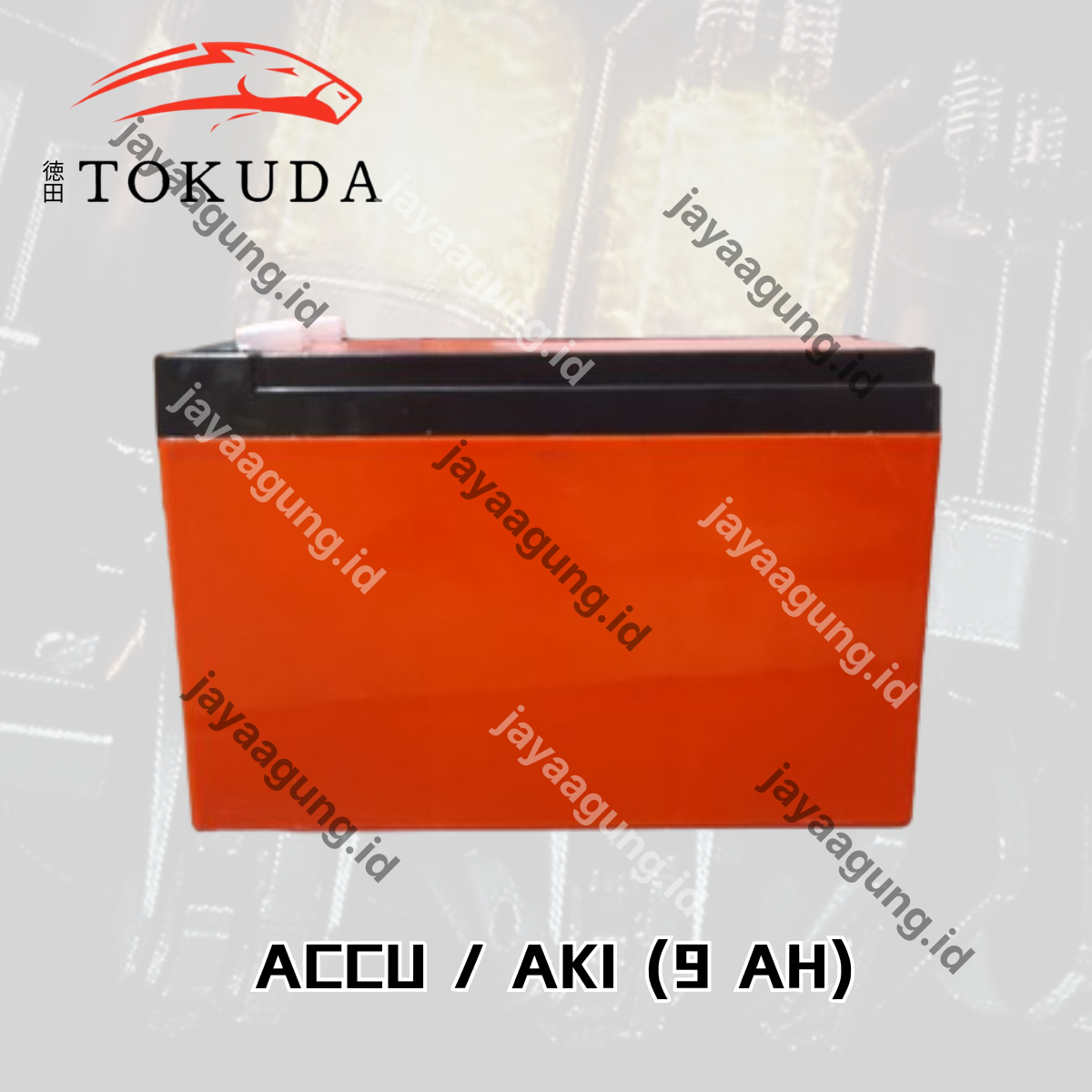 Gambar ACCU SPRAYER TOKUDA 9A 2.5KG ke-3