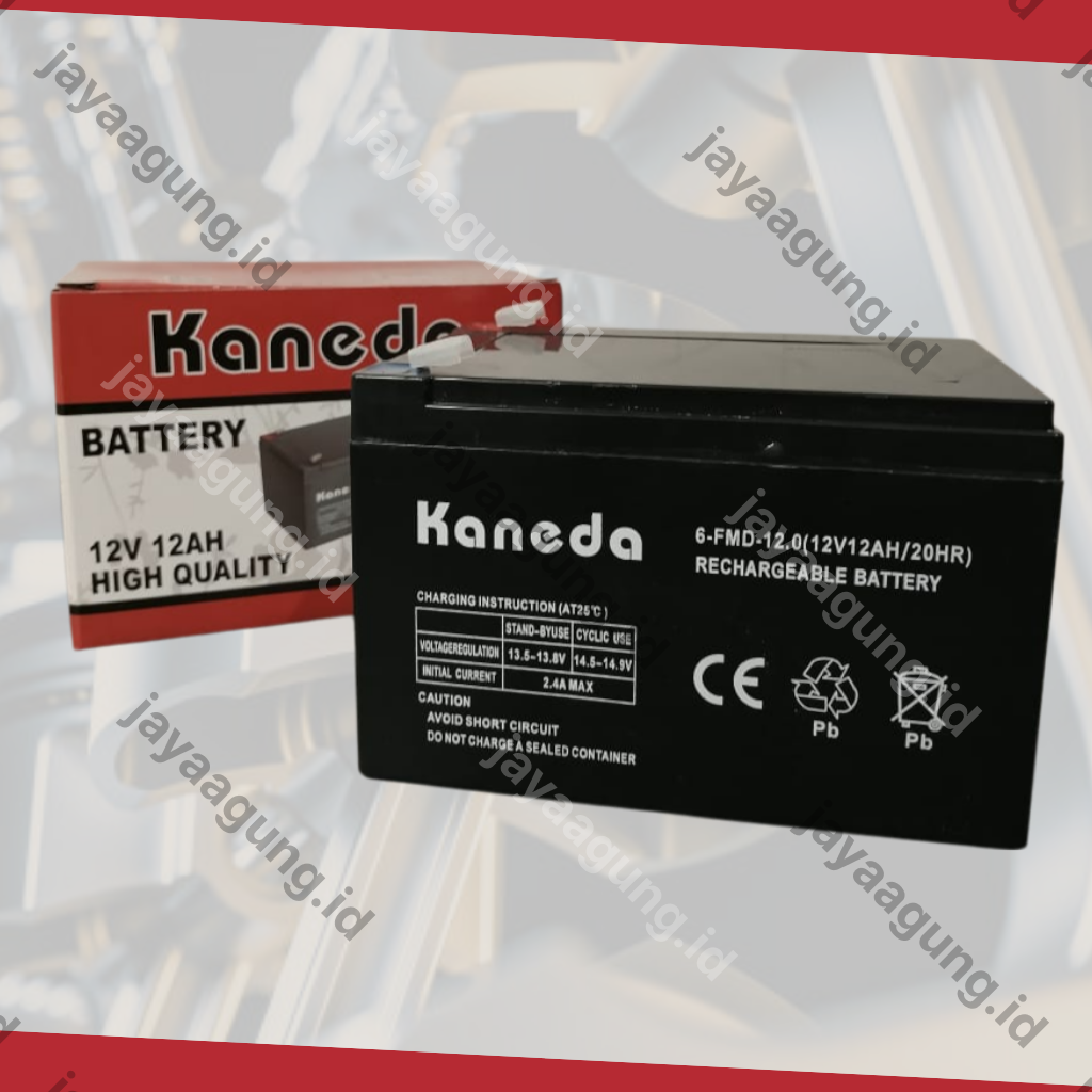 Gambar ACCU SPRAYER KANEDA 12A ke-2