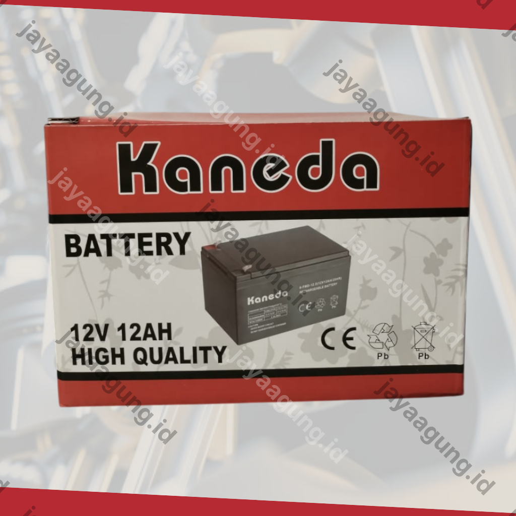 Gambar ACCU SPRAYER KANEDA 12A ke-4