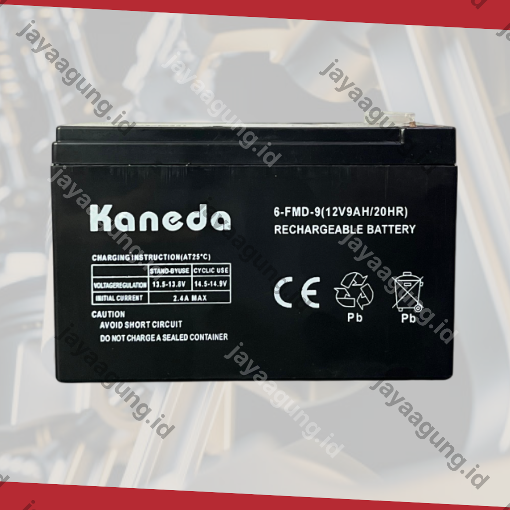 Gambar ACCU SPRAYER KANEDA 9A ke-2