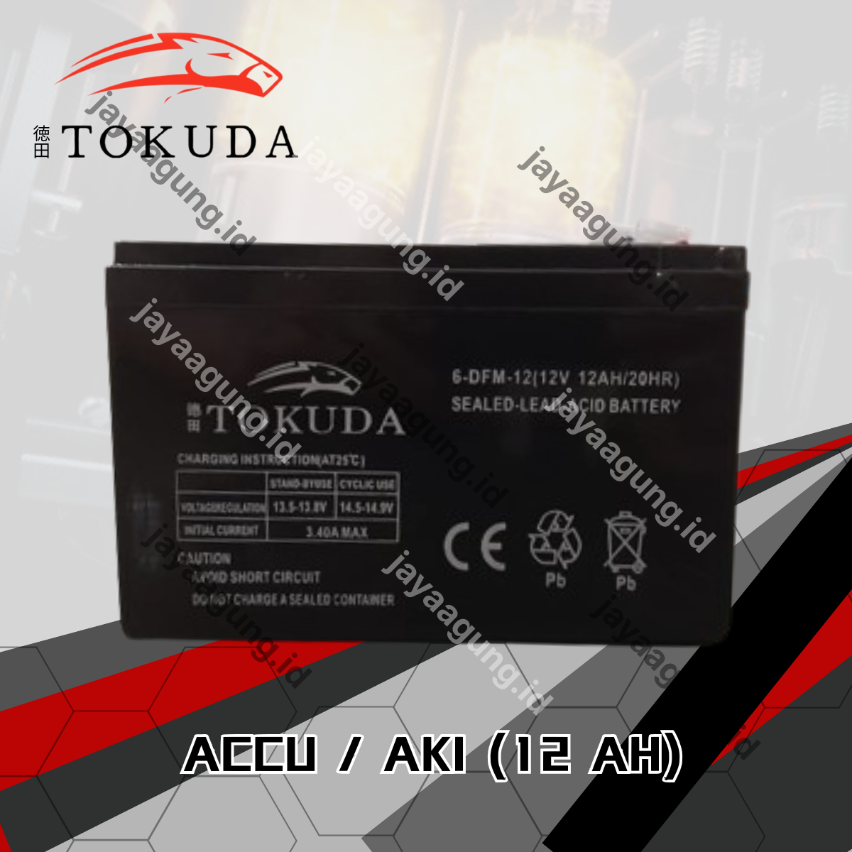 ACCU SPRAYER TOKUDA 12A