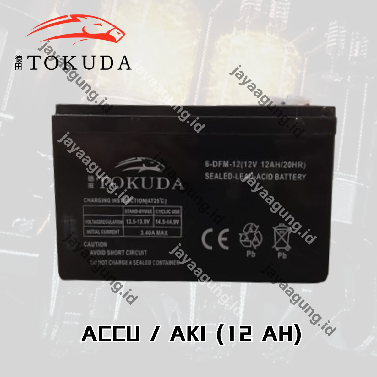 Gambar ACCU SPRAYER TOKUDA 12A ke-2