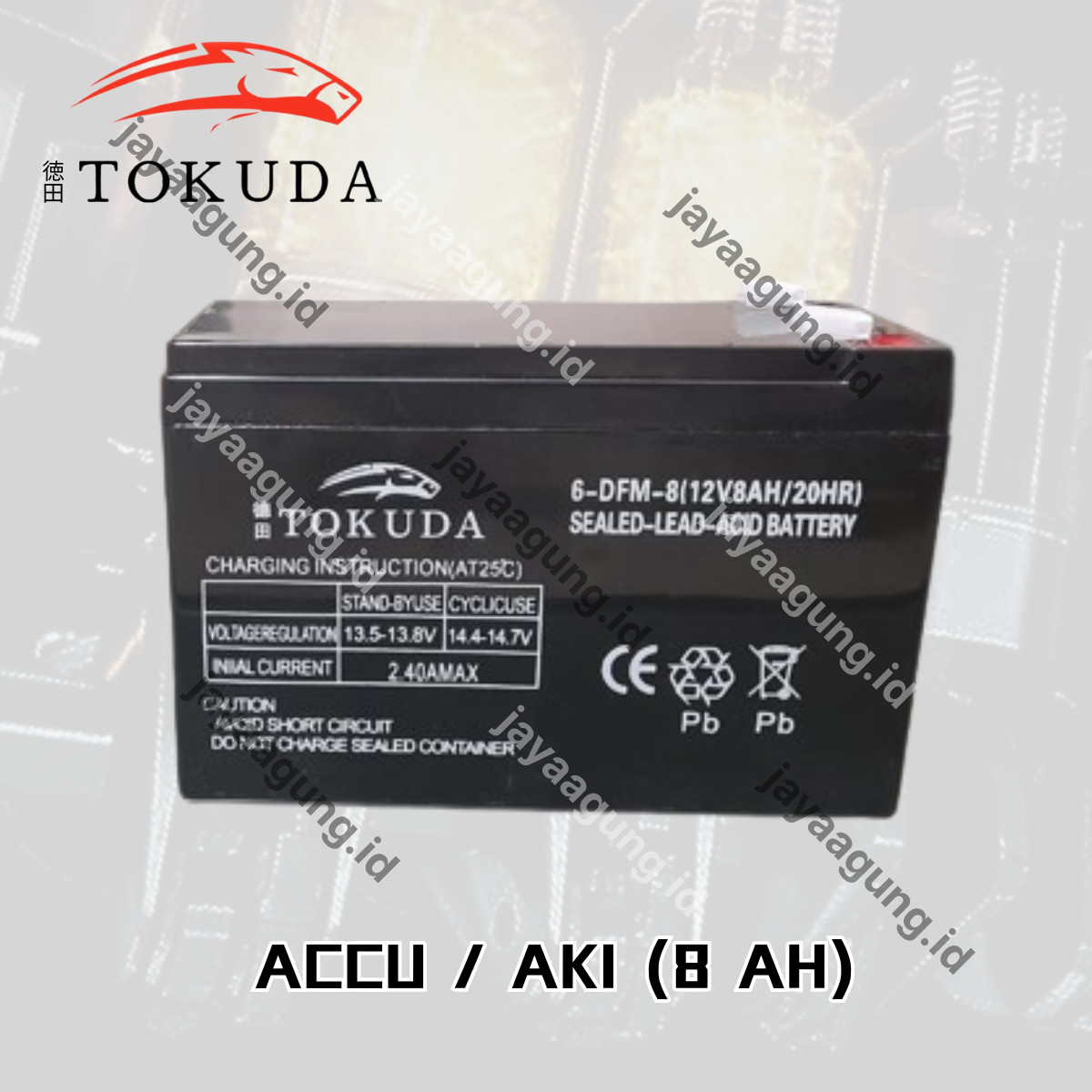 Gambar ACCU SPRAYER TOKUDA 8A ke-2