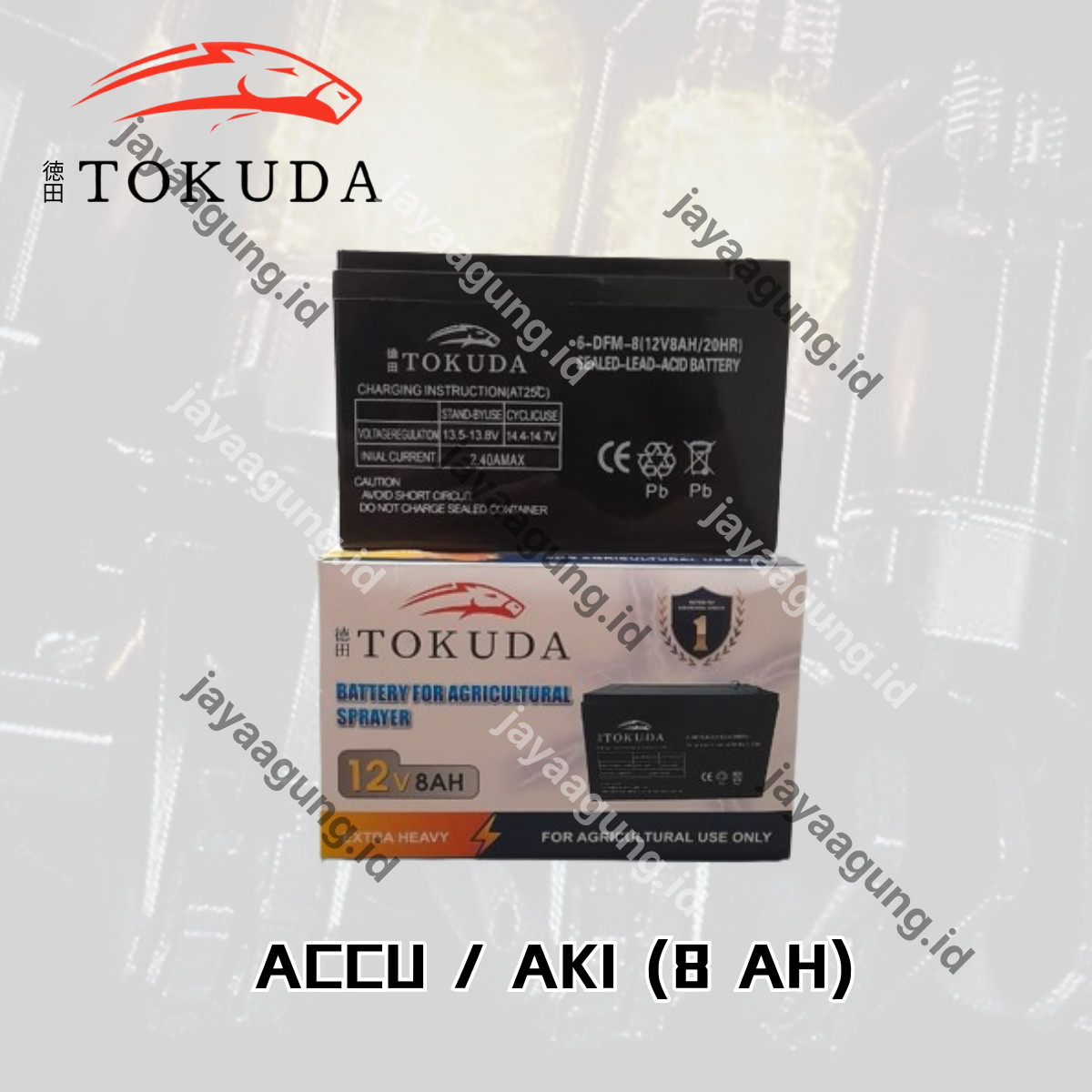 Gambar ACCU SPRAYER TOKUDA 8A ke-4