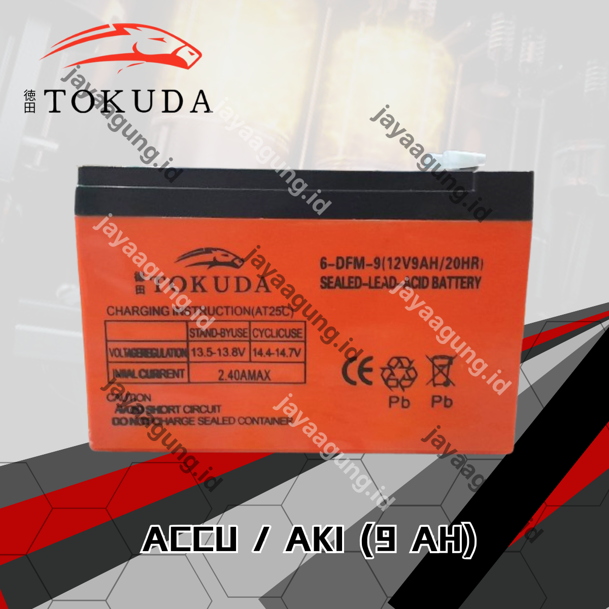 ACCU SPRAYER TOKUDA 9A 2.5KG