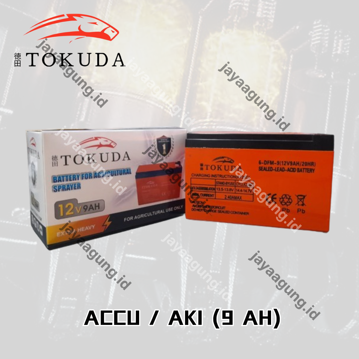 Gambar ACCU SPRAYER TOKUDA 9A 2.5KG ke-4
